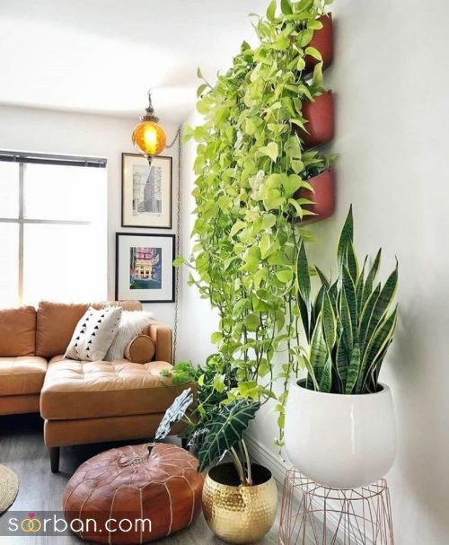 38 چیدمان گلدان داخل منزل | ایده های تزیین و چیدمان خانه با گیاهان آپارتمانی