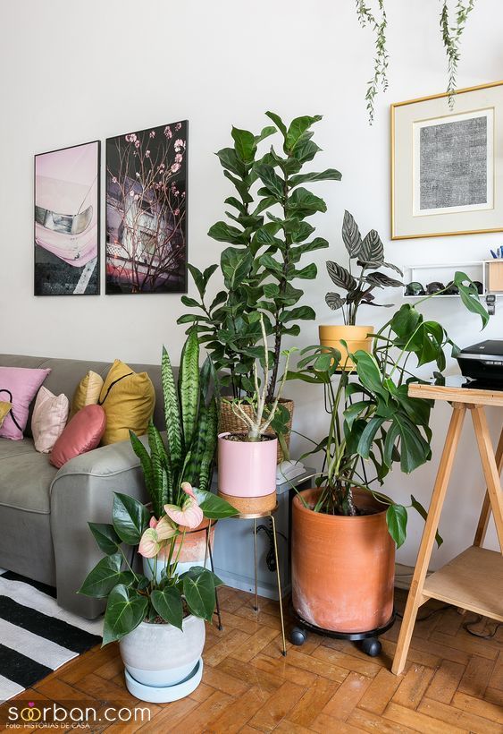 38 چیدمان گلدان داخل منزل | ایده های تزیین و چیدمان خانه با گیاهان آپارتمانی