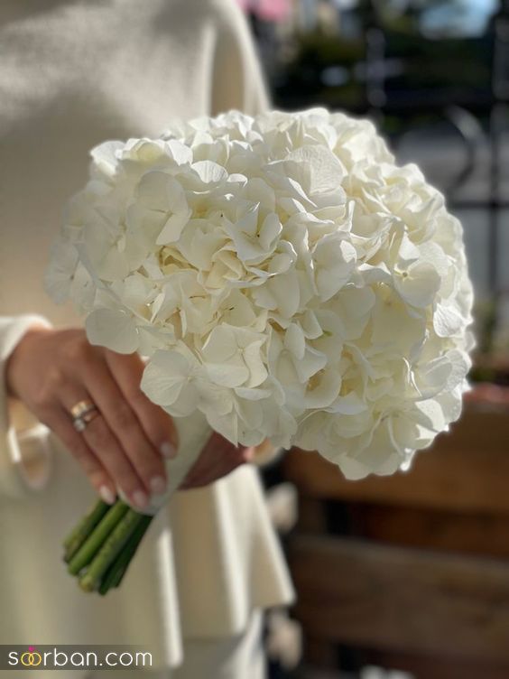 دسته گل عروس 2024 جدید | مدل دسته گل عروسی 1403 با گل سفید که دلبرترتون میکنه!