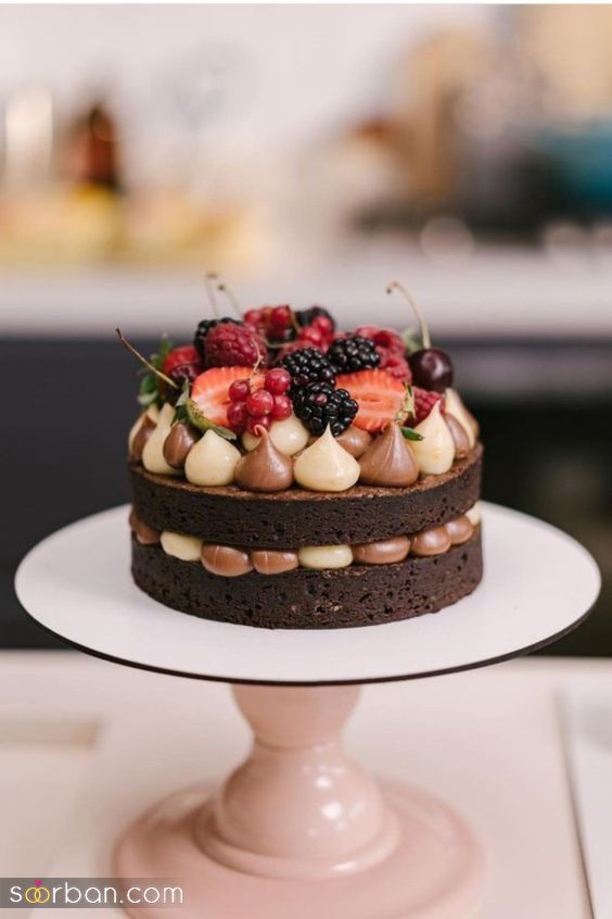 50 ایده تزیین کیک خانگی 1403 با روش های جذاب,متنوع و ساده که مهمانانتان با دیدن آن متحیر شوند!