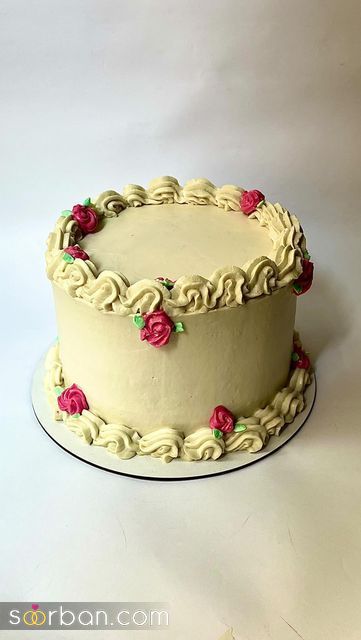 تزئین کیک تولد خانگی | 30 تزئین کیک تولد خانگی با ایده های خلاقانه مثل قنادی ها تزئین کن!