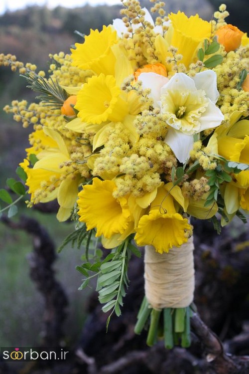 20 دسته گل عروس نرگس زیبا