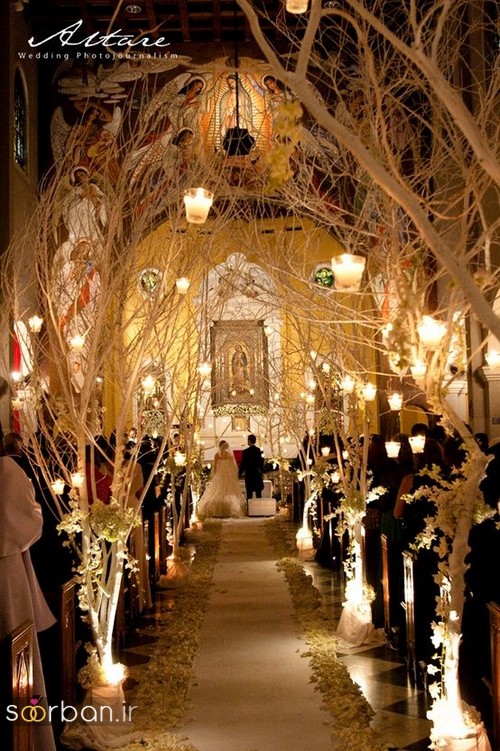 تزیین ژورنالی ورودی باغ تالار عروسی با درخت و شاخه خشک