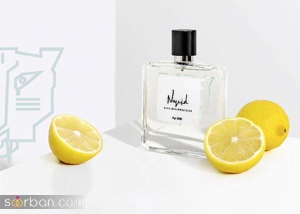 خرید عطر با نام هنرمندان