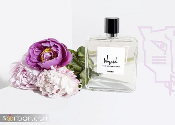 خرید عطر با نام هنرمندان