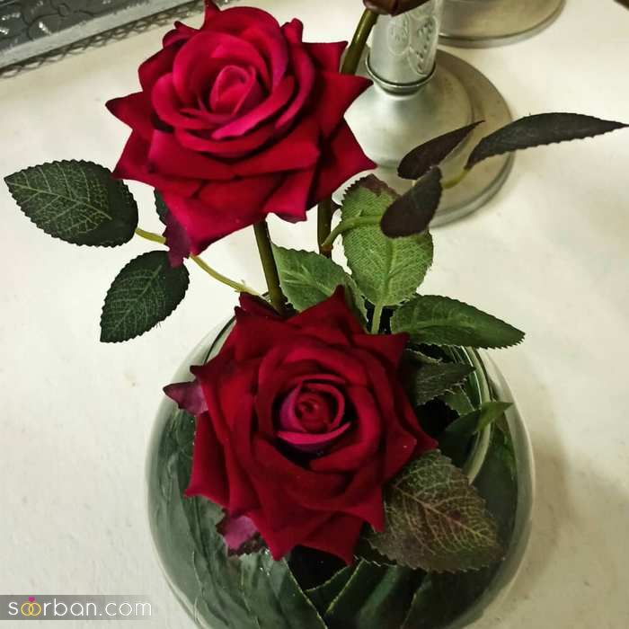 عکس گل رز 2022 | عکس گل رز قرمز برای پروفایل