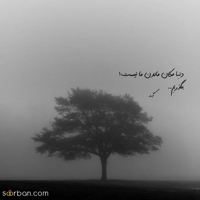 عکس پروفایل 2024 | عکس پروفایل بسیار زیبا و عاشقانه ( تلگرام/ اینستا و واتساپ)