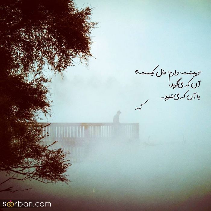 عکس پروفایل 2024 | عکس پروفایل بسیار زیبا و عاشقانه ( تلگرام/ اینستا و واتساپ)