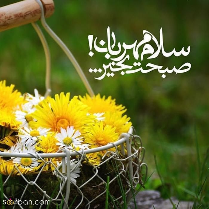 دانلود عکس صبح بخیر زیبا برای استوری بلاگر های روزمرگی