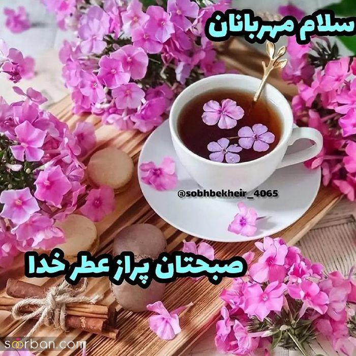 دانلود عکس صبح بخیر زیبا برای استوری بلاگر های روزمرگی