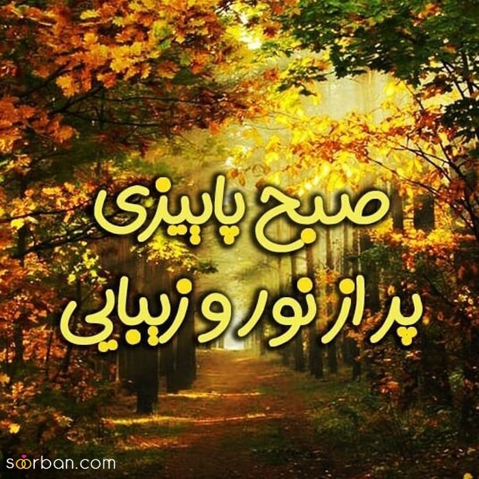 دانلود عکس صبح بخیر زیبا برای استوری بلاگر های روزمرگی