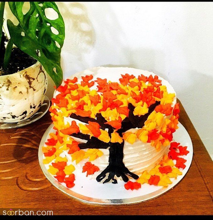 مدل کیک پاییزی 2022 | گالری از انواع کیک پاییزی جدید بسیار شیک و جذاب