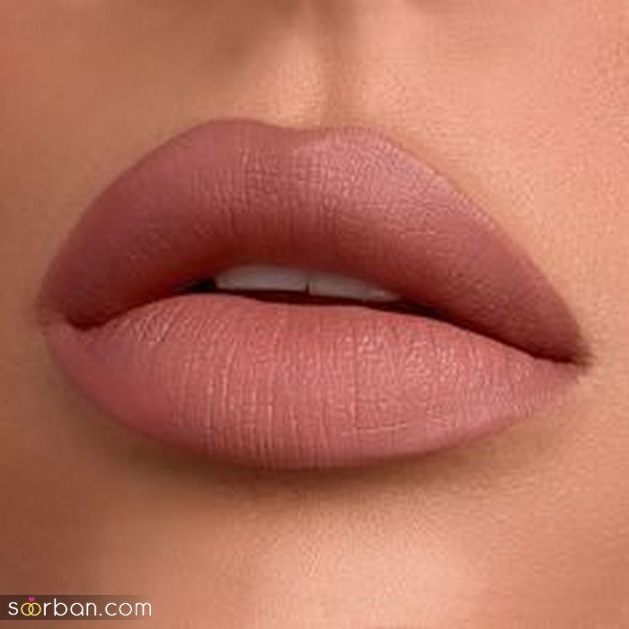 50 رنگ رژ لب کالباسی متنوع و باکلاس با تناژ رنگی متنوع زنانه / دخترانه