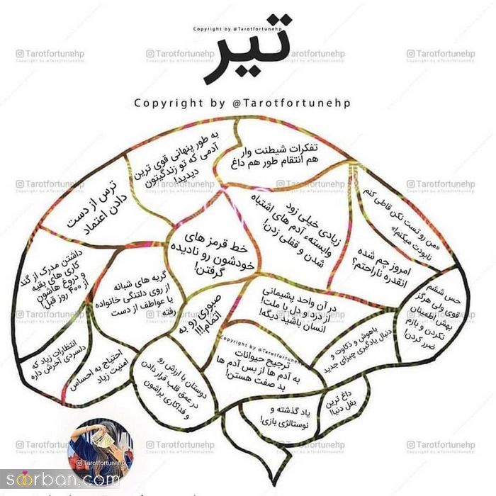 عکس پروفایل متولد تیر جدید / همراه با خصوصیات مناسب پروفایل