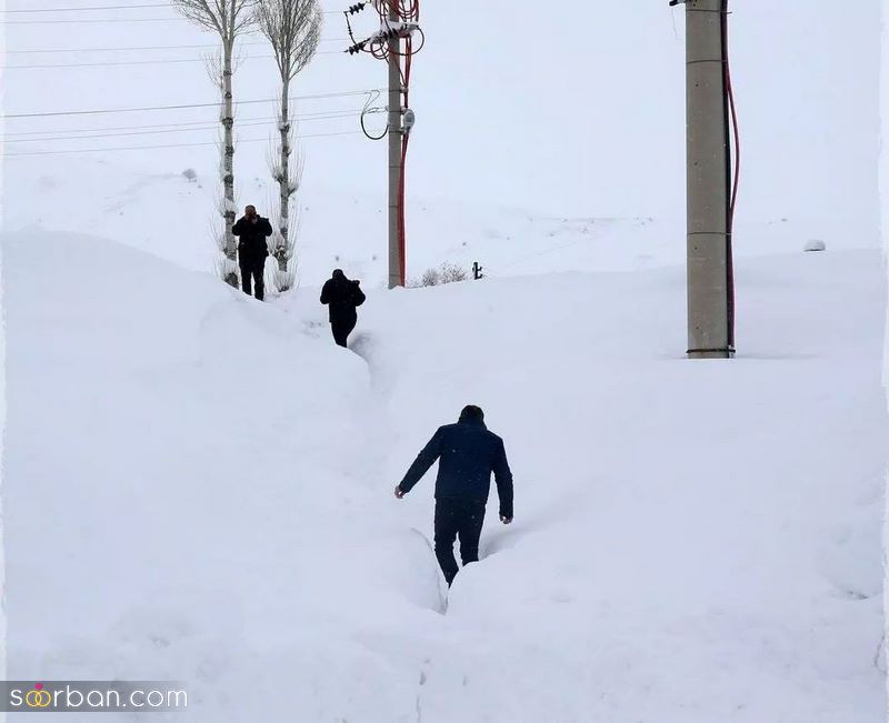 آلبومی جدید و زیبا از عکس برف بسیار جذاب و هنری (پروفایل)