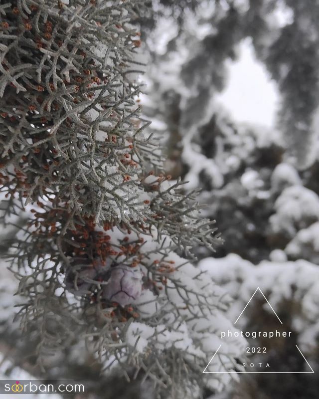 آلبومی جدید و زیبا از عکس برف بسیار جذاب و هنری (پروفایل)