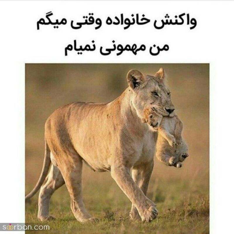 عکس خنده دار ۱۴۰۱ | عکس نوشته خنده دار جدید اینستا برای استوری