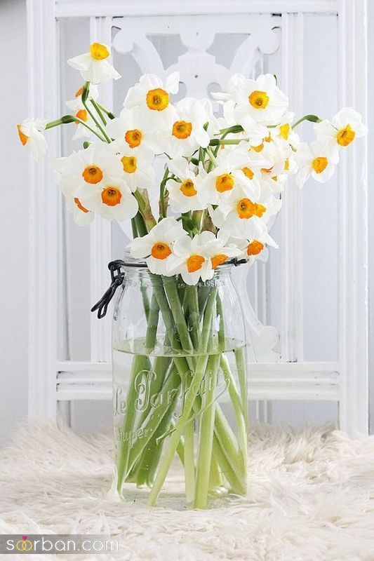 عکس گل 1401 | جدیدترین مدلهای گل زیبا برای پروفایل صفحه مجازی 2022