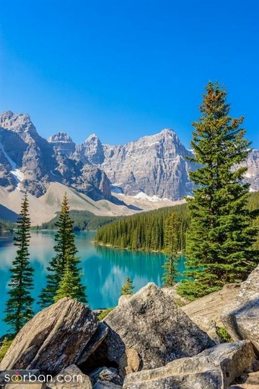 عکس طبیعت 1403 | زیباترین عکس ها از طبیعت برای پروفایل 2024