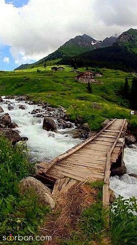 عکس طبیعت 1403 | زیباترین عکس ها از طبیعت برای پروفایل 2024
