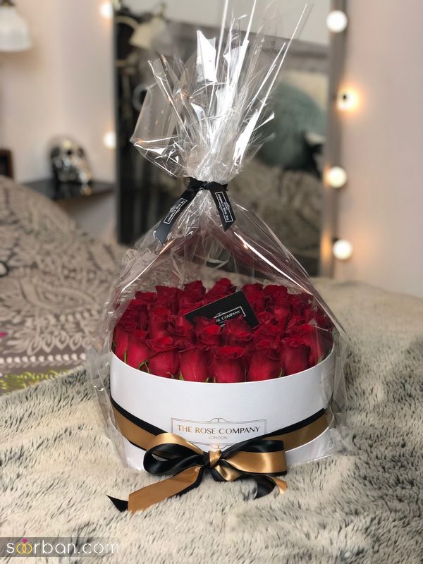 عکس گل 1403 | عکس گل بسیار زیبا برای پروفایل شاد | عکس گل برای پروفایل شاد دخترونه جدید
