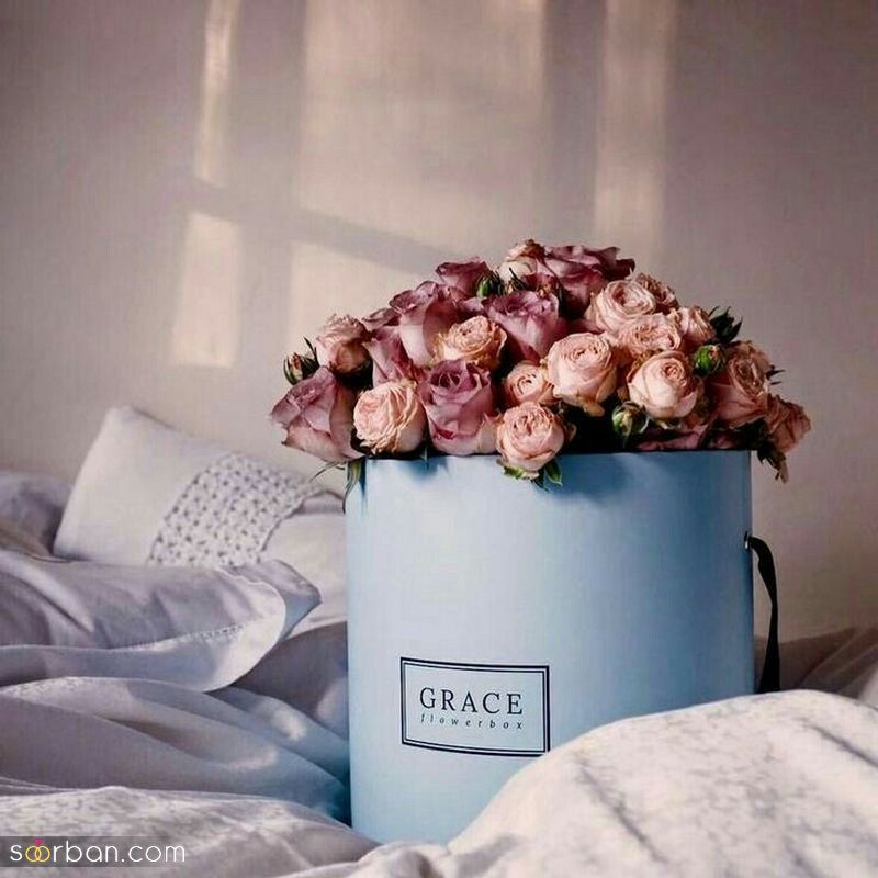 عکس گل 1403 | عکس گل بسیار زیبا برای پروفایل شاد | عکس گل برای پروفایل شاد دخترونه جدید