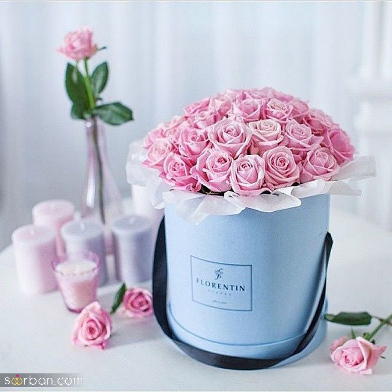 عکس گل 1403 | عکس گل بسیار زیبا برای پروفایل شاد | عکس گل برای پروفایل شاد دخترونه جدید