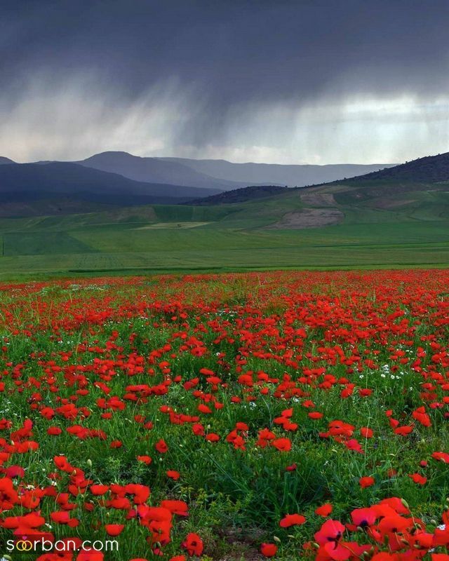 عکس طبیعت 1403 | زیباترین عکس ها از طبیعت برای پروفایل 2024