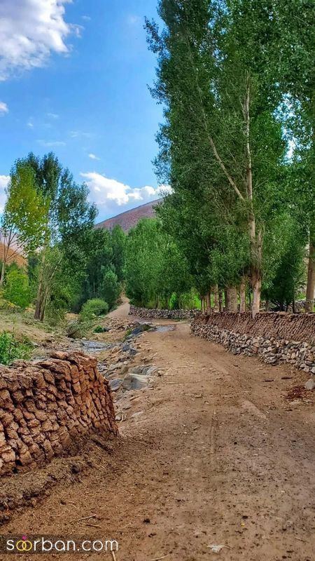 عکس طبیعت 1403 | زیباترین عکس ها از طبیعت برای پروفایل 2024