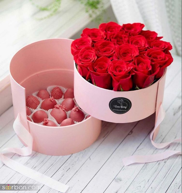 عکس گل 1403 | عکس گل بسیار زیبا برای پروفایل شاد | عکس گل برای پروفایل شاد دخترونه جدید