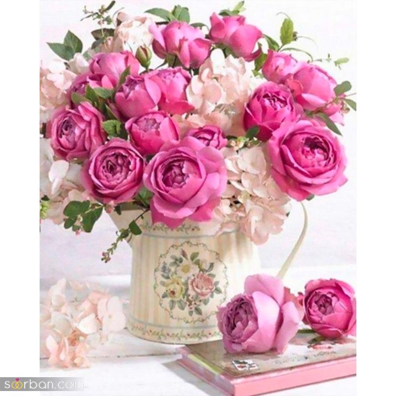 عکس گل 1403 | عکس گل بسیار زیبا برای پروفایل شاد | عکس گل برای پروفایل شاد دخترونه جدید