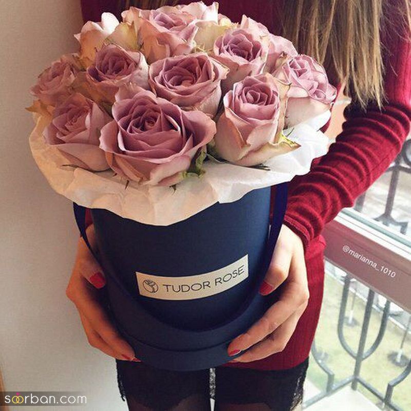 عکس گل 1403 | عکس گل بسیار زیبا برای پروفایل شاد | عکس گل برای پروفایل شاد دخترونه جدید