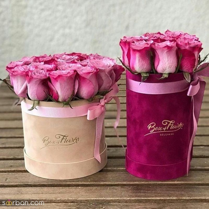 عکس گل 1403 | عکس گل بسیار زیبا برای پروفایل شاد | عکس گل برای پروفایل شاد دخترونه جدید