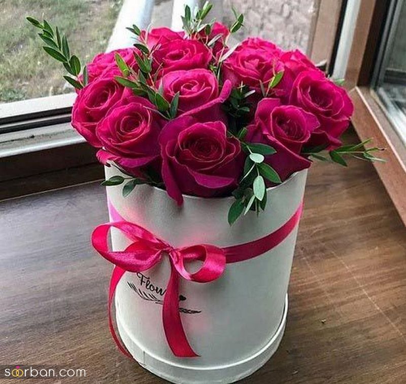 عکس گل 1403 | عکس گل بسیار زیبا برای پروفایل شاد | عکس گل برای پروفایل شاد دخترونه جدید
