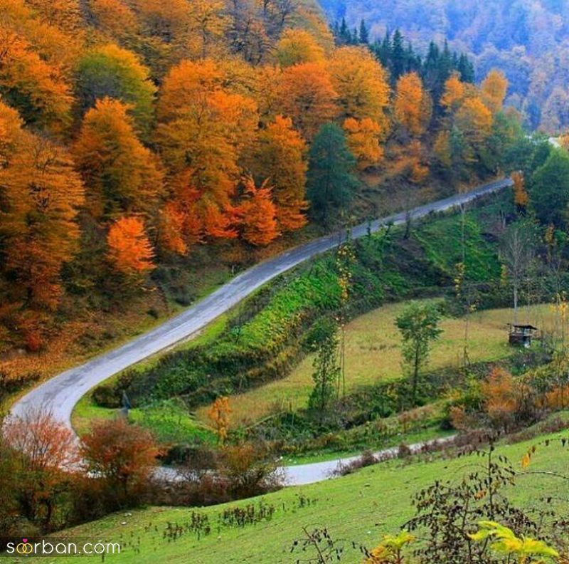 عکس طبیعت 1403 | زیباترین عکس ها از طبیعت برای پروفایل 2024