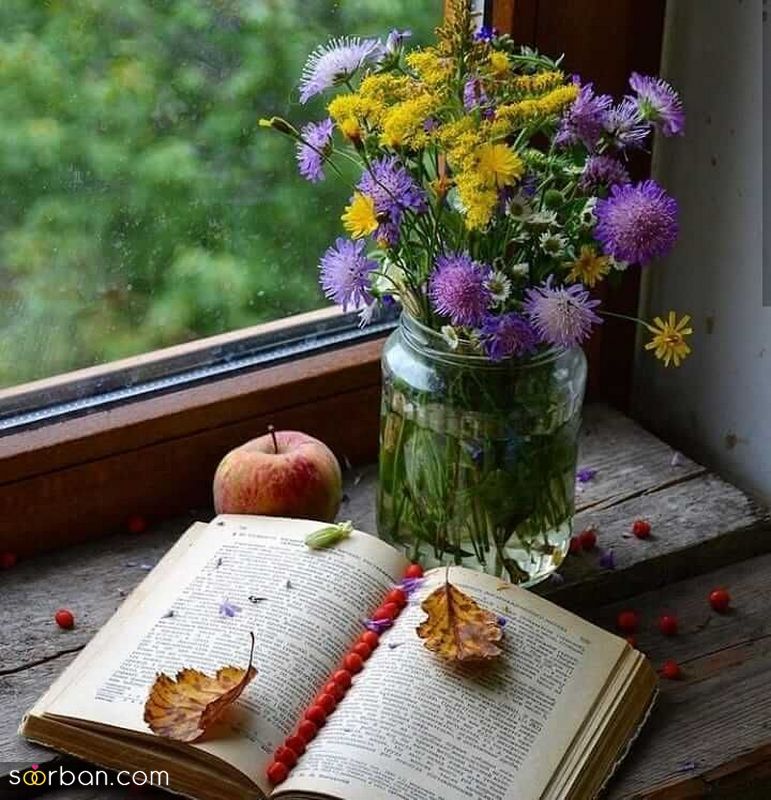 عکس گل 1403 | عکس گل بسیار زیبا برای پروفایل شاد | عکس گل برای پروفایل شاد دخترونه جدید