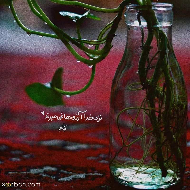 عکس نوشته 1403 | دانلود جدیدترین عکس نوشته 1403 پروفایل زیبا 2024