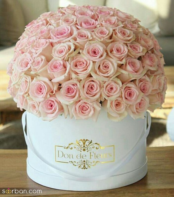 عکس گل برای پروفایل فیک و لاکچری بسیار شیک و بدون متن