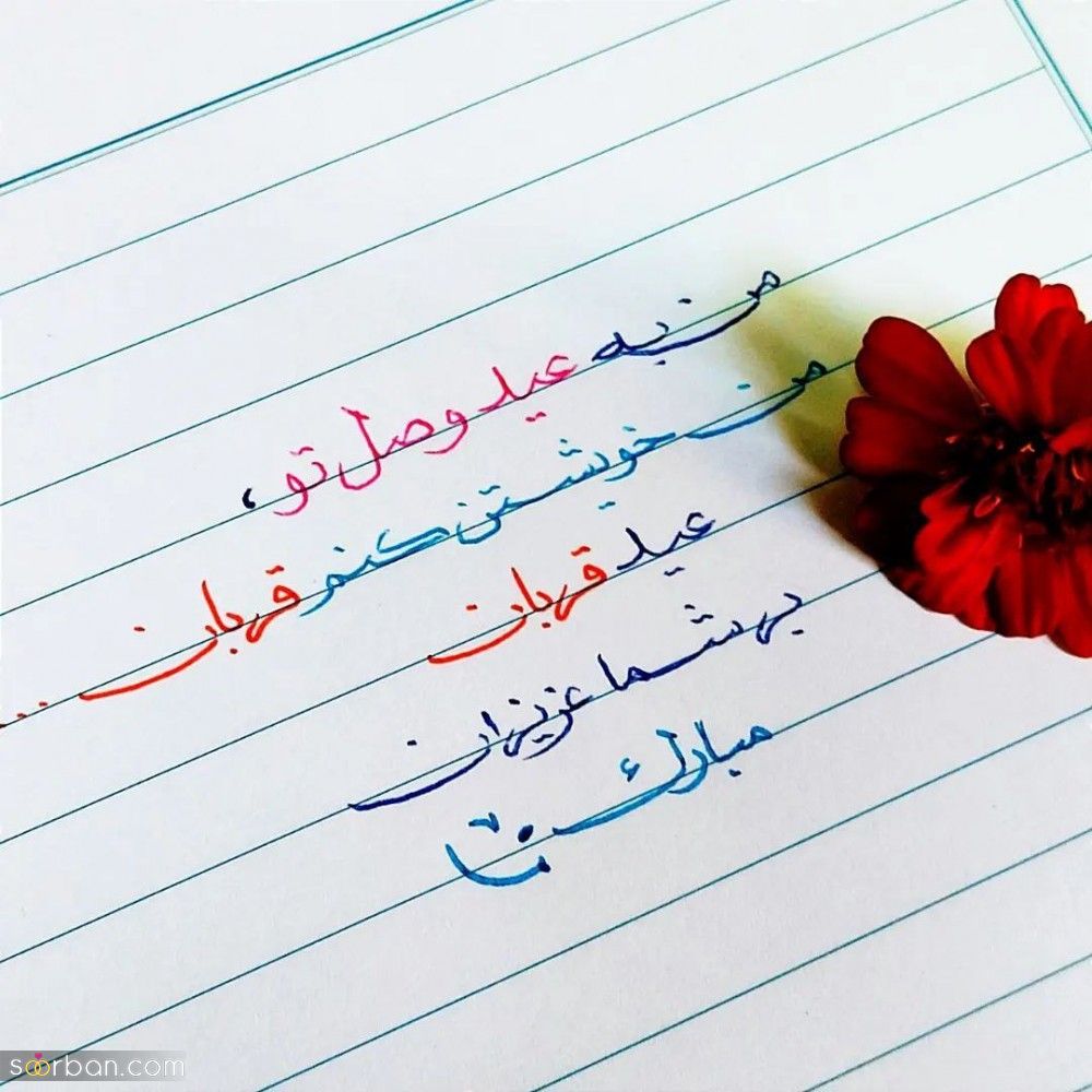 تبریک عید قربان به عربی ( جملات زیبای تبریک عید قربان به عربی همراه با ترجمه فارسی)