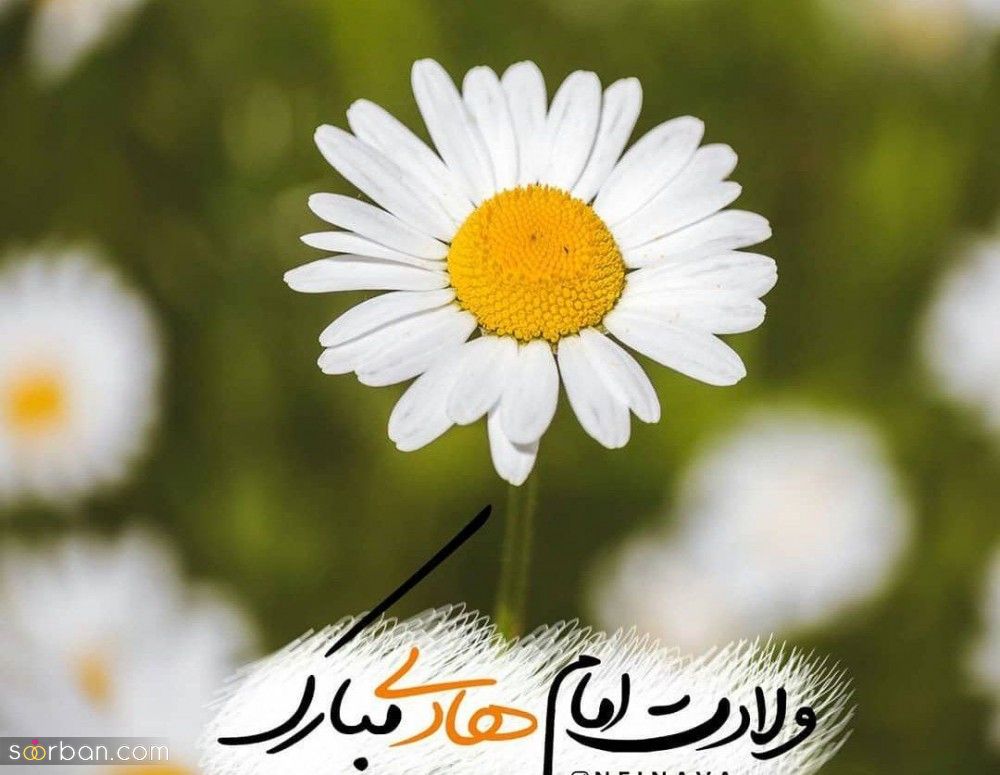 تبریک ولادت امام هادی (ع) + متن تبریک میلاد امام هادی ۱۴۰۱ با پیام و عکس نوشته جدید + عکس