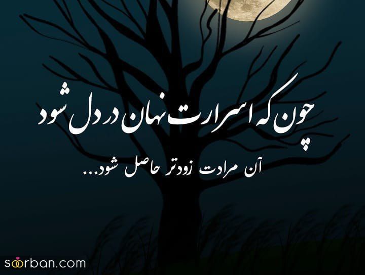 اشعار مولانا - گلچینی از ناب ترین شعرهای مولانا درباره عشق، زندگی و خداوند