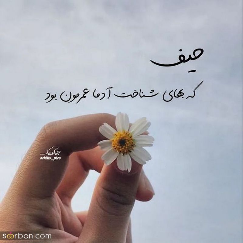 پروفایل سنگین 1404 با متنهای خفن فاز بالا و سنگین