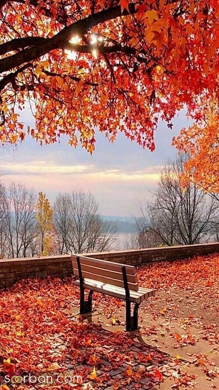 عکس پاییز 1401 جدید و زیبا که جایی دیده نشده است برای حساس حال خوب