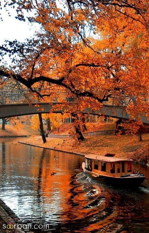 عکس پاییز بارانی 1401 با ترکیب رنگ های پاییزی برای فضای مجازی