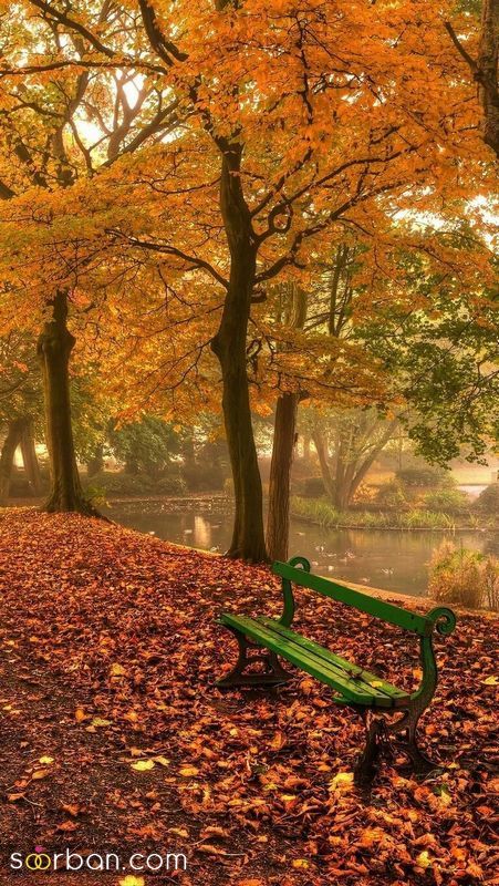 عکس پاییز برای پروفایل 1401 که دلبری متفاوتی دارد برای ایجاد حس خوب (جدید)