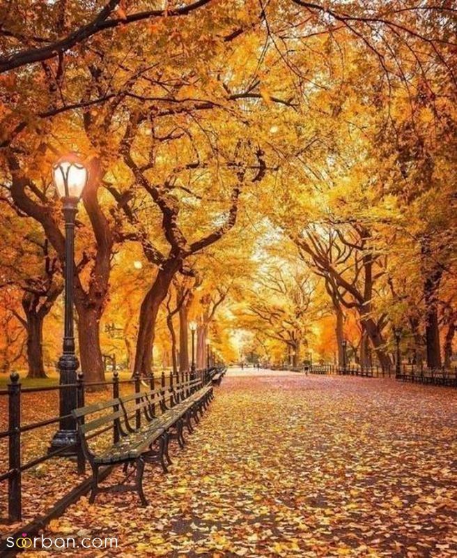 عکس پاییز زیبا 1401 