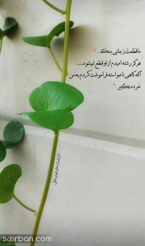 عکس نوشته انگیزشی مثبت 1401 برای استوری کردن در فضای مجازی