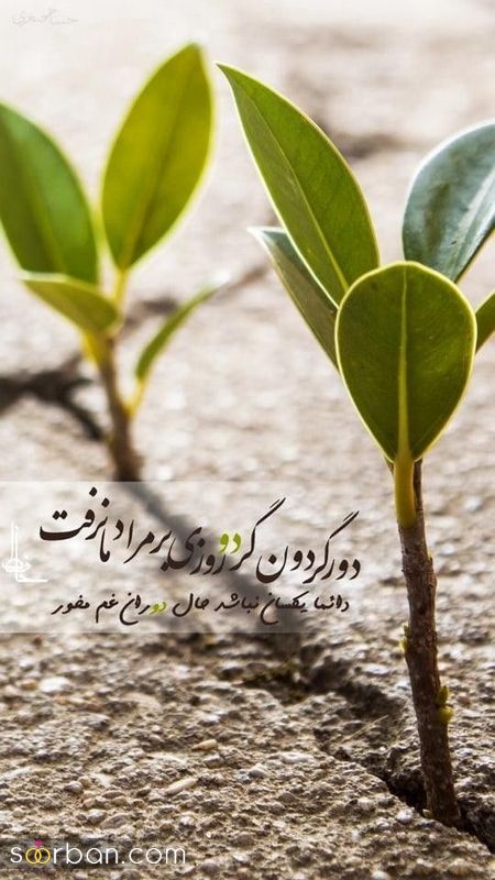 عکس نوشته انگیزشی مثبت 1401 برای استوری کردن در فضای مجازی