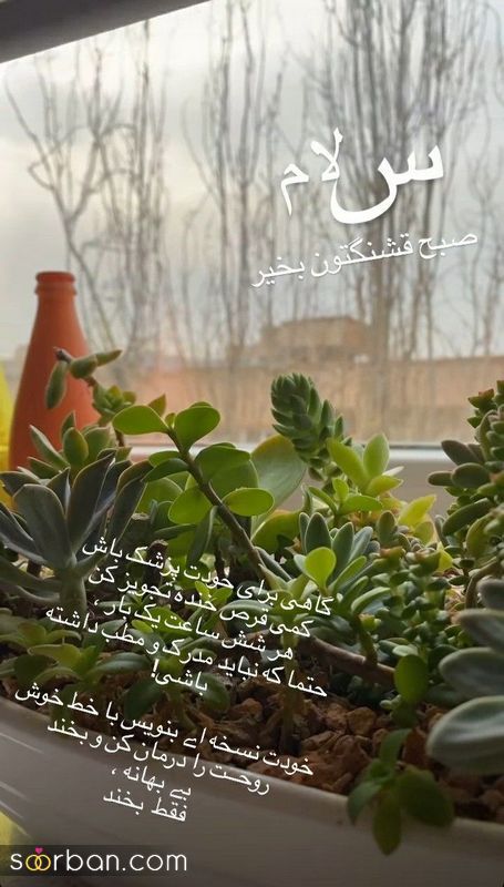 عکس نوشته های زیبا برای صبح بخیر گفتن 1404