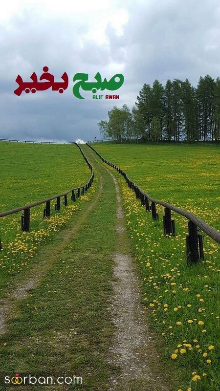 عکس نوشته های زیبا برای صبح بخیر گفتن 1404
